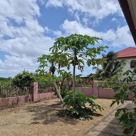 Chander'S Villa Paramaribo Ngoại thất bức ảnh