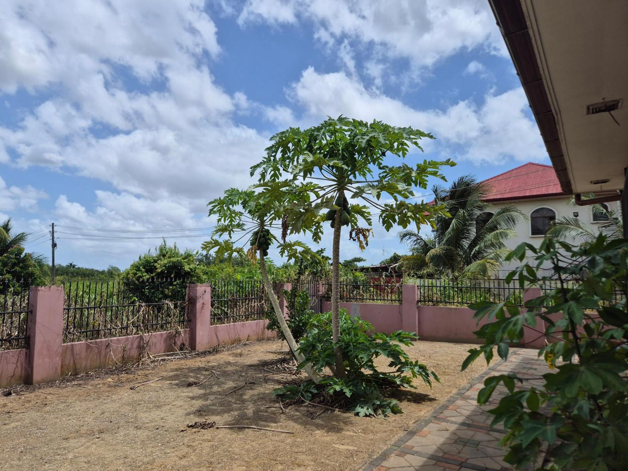 Chander'S Villa Paramaribo Ngoại thất bức ảnh