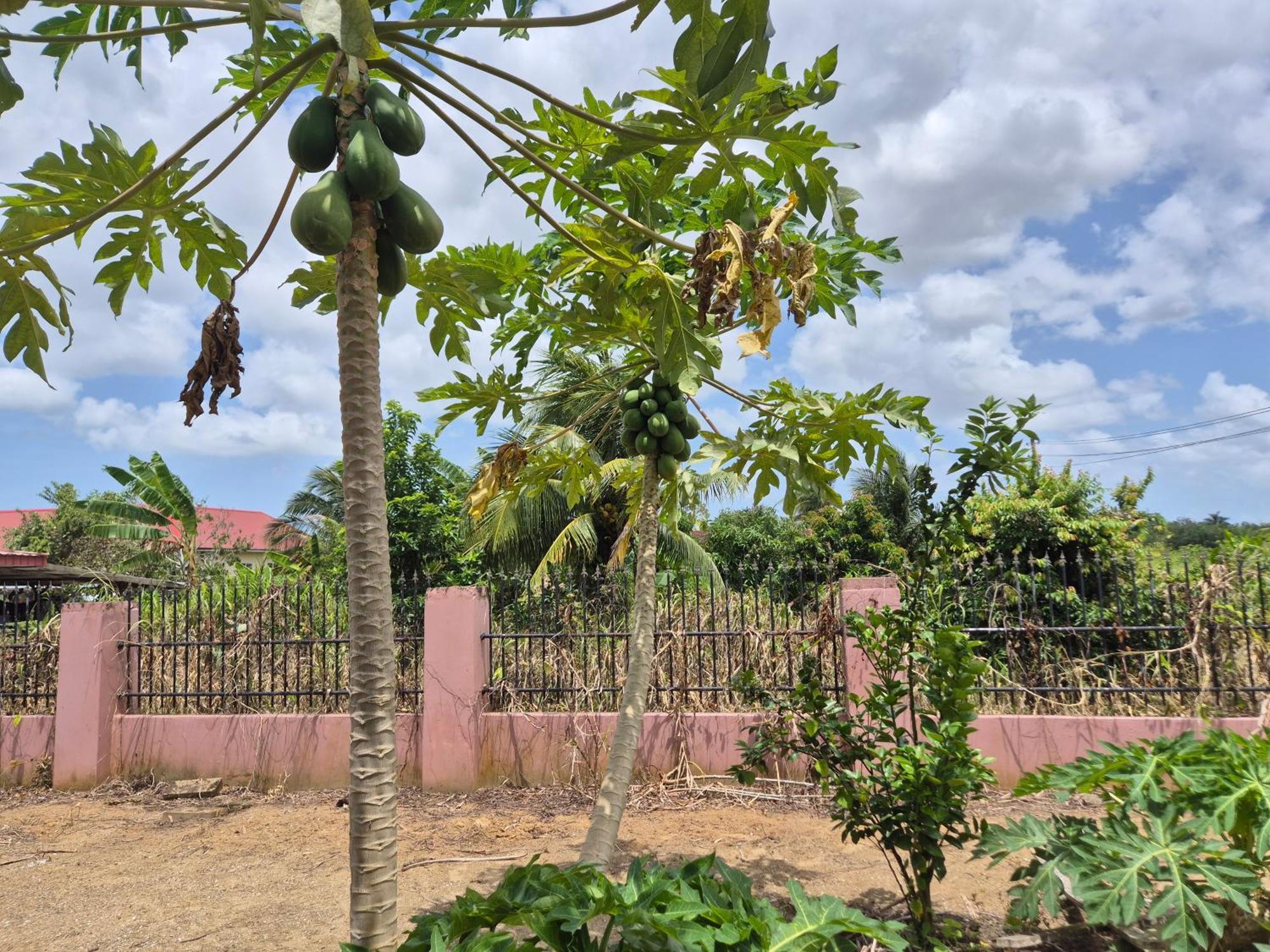 Chander'S Villa Paramaribo Ngoại thất bức ảnh