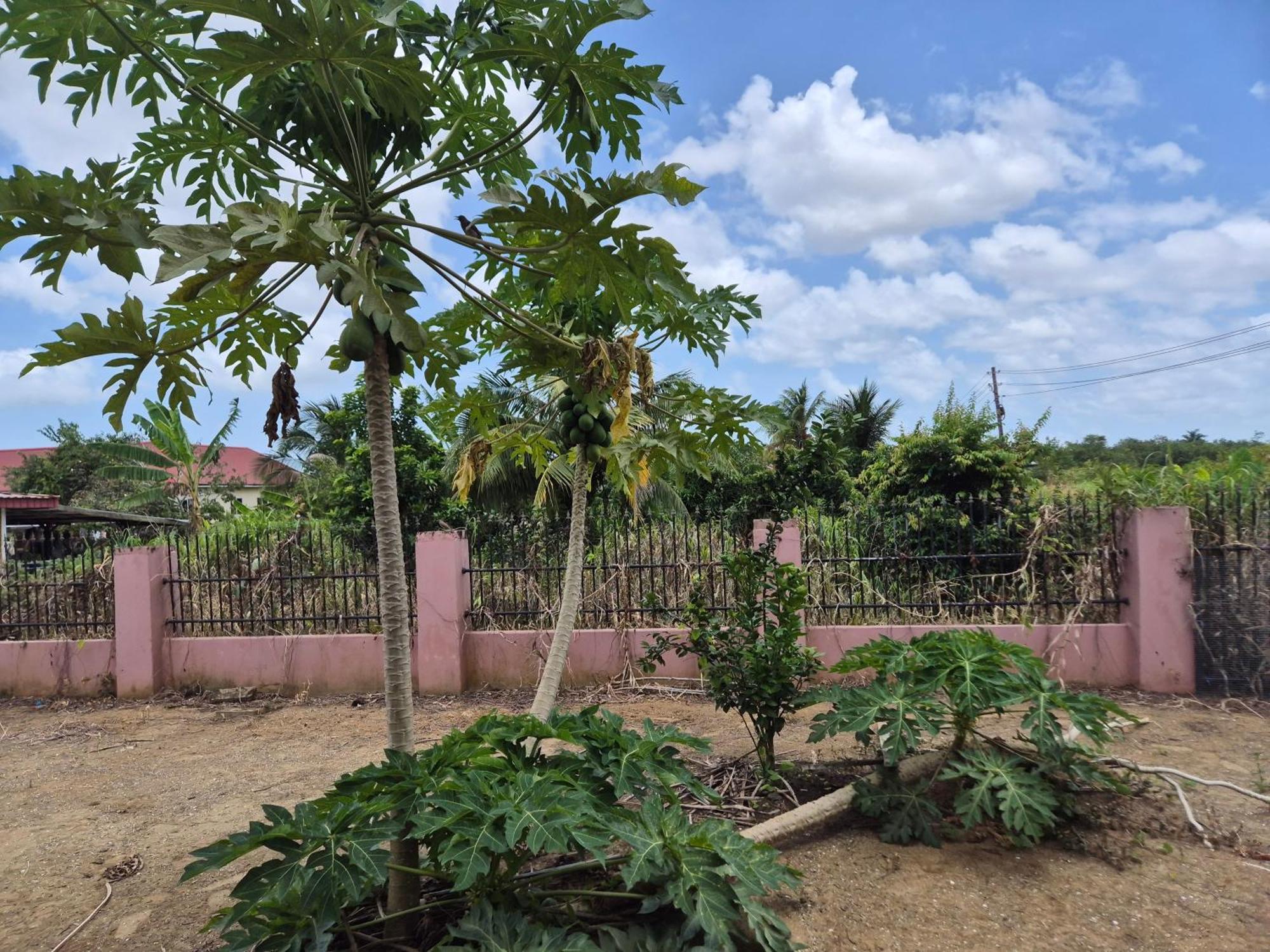 Chander'S Villa Paramaribo Ngoại thất bức ảnh