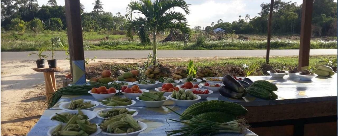 Chander'S Villa Paramaribo Ngoại thất bức ảnh